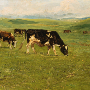 CIARDI, GIUSEPPE - Mucche, Asiago - cm 35,5 x 56 - Olio su tela